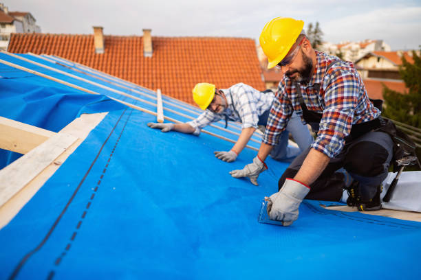 Best Flat Roof Repair Services  in Ste Genevieve, MO