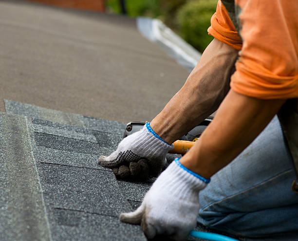 Best New Roof Installation  in Ste Genevieve, MO