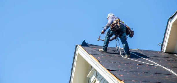 Roof Gutter Cleaning in Ste Genevieve, MO